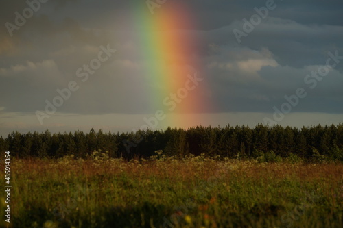 rainbow in the field