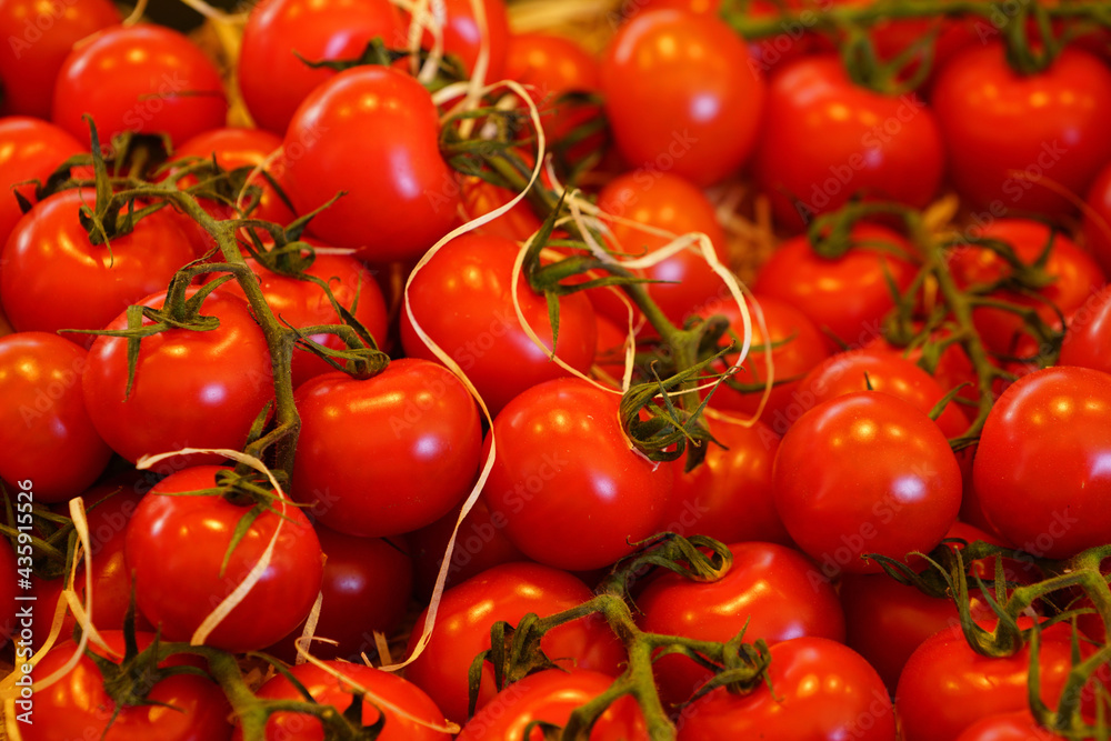 Frische Tomaen auf einem Marktstand close up Frische Tomaen auf einem Marktstand close up
