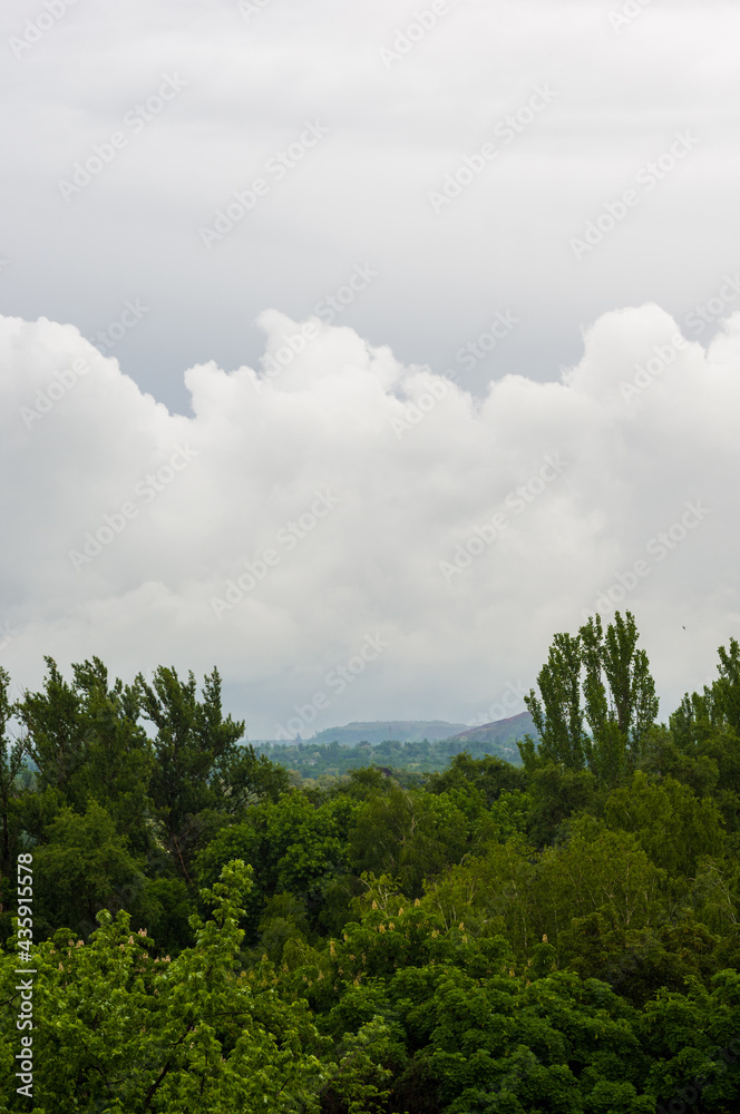 Spring city landscape - green trees and sky with clouds Spring city landscape - green trees and sky with clouds
