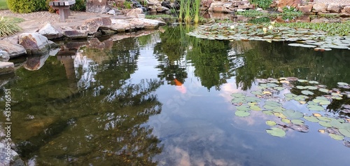 pond in a park