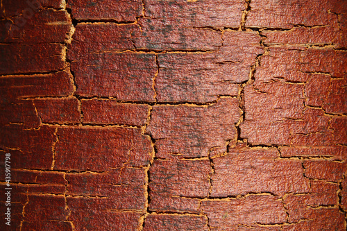 Принти на полотні Dark brown birch bark. Close-up. Background. Texture.
