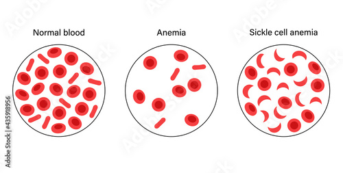 Blood structure concept