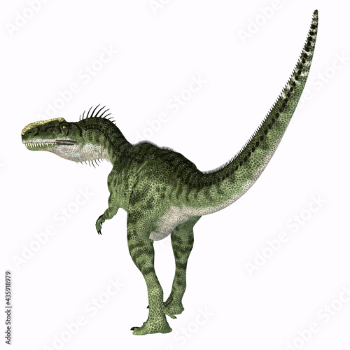 Monolophosaurus Dinosaur Tail - Monolophosaurus was a carnivorous theropod dinosaur that lived in China during the Jurassic Period. © Catmando