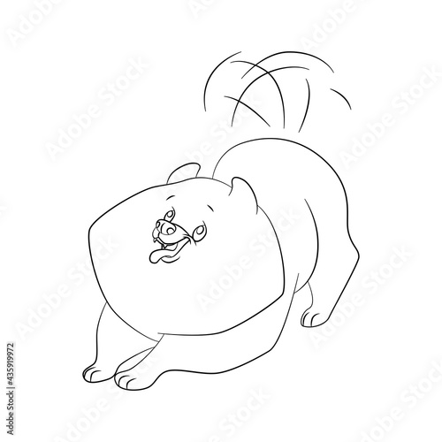 Linear drawing of a Spitz dog. Monochrome vector illustration on white background.