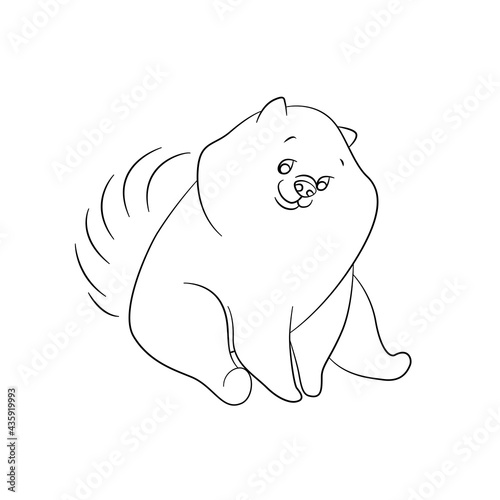 Linear drawing of a Spitz dog. Monochrome vector illustration on white background.