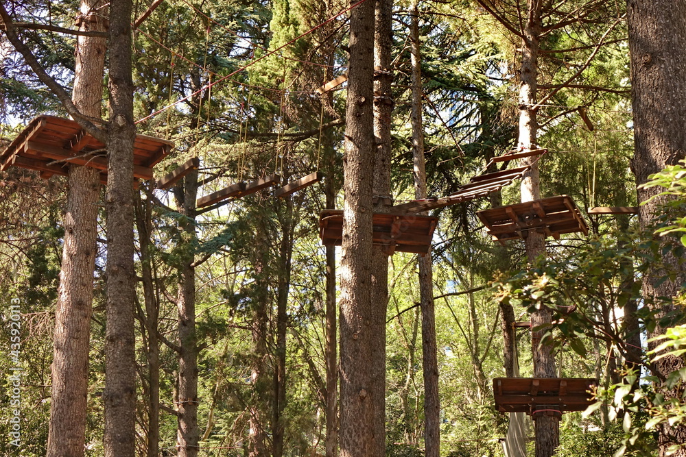 Fototapeta premium Exciting Adventure Park Detail. Forest Playground With Wooden Bridges. Ropes Courses Park in Summer Forest. Treetop Park.