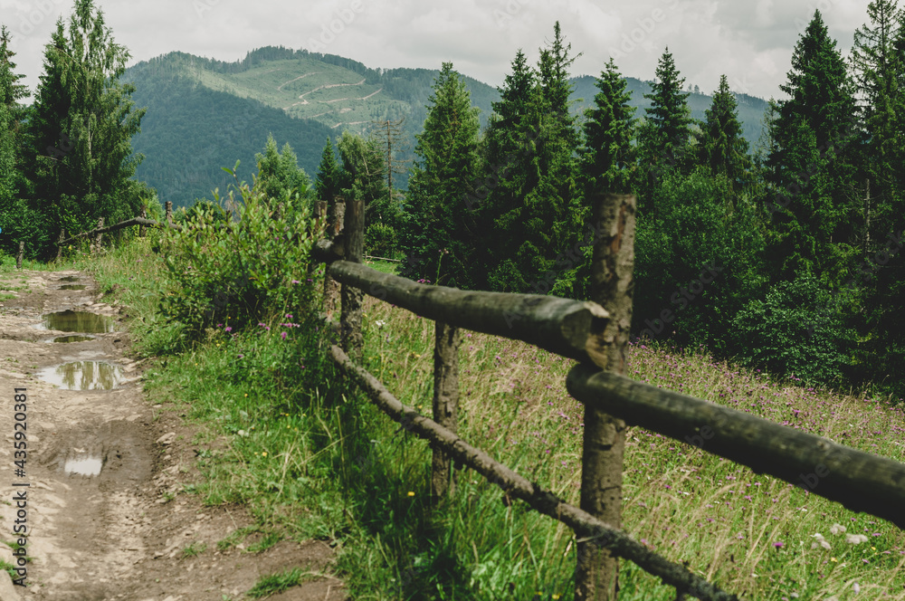 Old fence made wooden boards along country road, fence overgrown with grass and flowers. Mountain landscape on horizon
