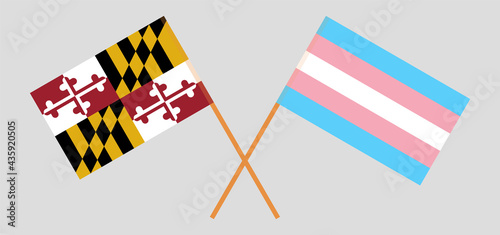 Crossed flags of the State of Maryland and Transgender Pride. Official colors. Correct proportion