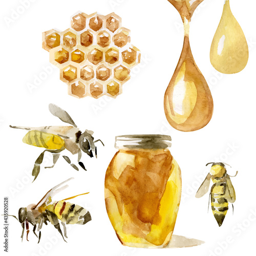 Hand-drawn honey jar set in watercolor technique. Collection of beekeeping and apiary elements. Vector illustration of beehive, working bee, honeycombs and cells. Organic, healthy, sweet honey drop.