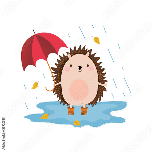 Cute hengehog with umbrella in the autumn rain. Animal cartoon character. Vector illustration. photo