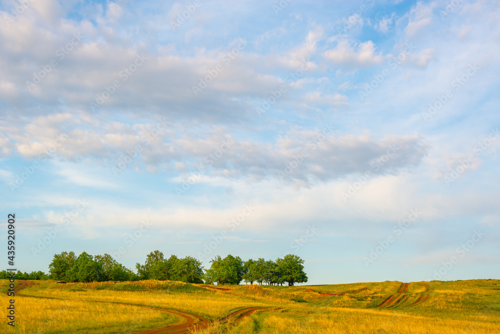 Field, forest, road and clouds against the blue sky.