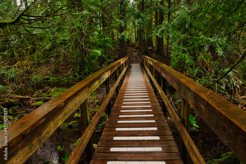 Boardwalk in the forest at Colliery dam park  Nanaimo  Bc