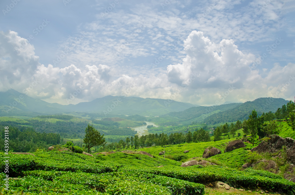 Hill station with clouds, Mountain and green tree. Wideview