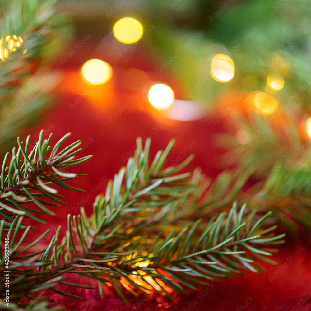 Christmas background, green pine branches on a red velvet festive background. Creative composition with border and copy space, top view. New year decoration with bokeh lights from light bulbs. Christmas background, green pine branches on a red velvet festive background. Creative composition with border and copy space, top view. New year decoration with bokeh lights from light bulbs.