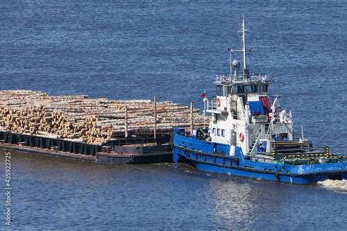The barge transports cargo, timber logs along the river in summer. High quality photo