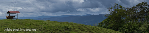 Beautiful View a Cow in the Meadow green hills eating in a magnificent landscape