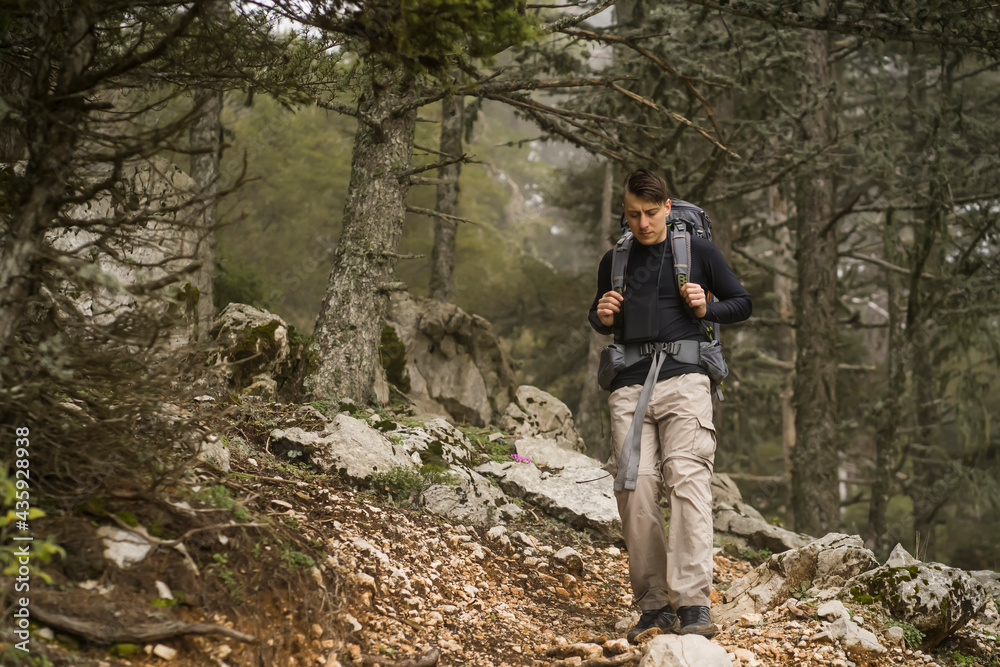 A young man, a traveler with a hiking backpack and tourist equipment, carefully descends from the mountain along a trail in a national park, hiking in the spring. Wild forest and stones around.