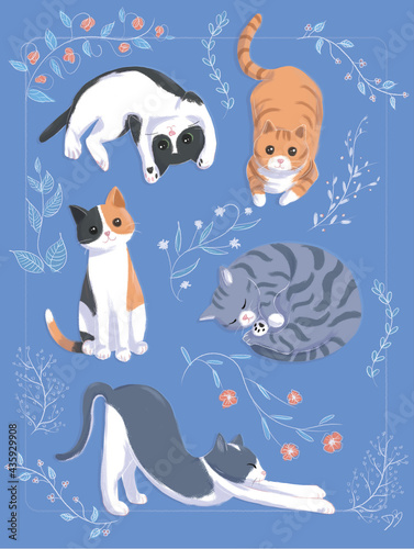 Colourful cats with flowers