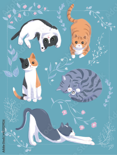 Colourful cats with flowers and turquoise background
