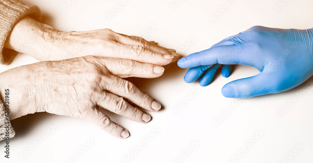 Fototapeta premium A doctor's hands in a blue gloves holds the hands of an elderly woman, a patient. Handshake, caring, trust and support. Medicine and healthcare.