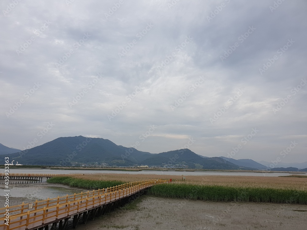 Tidal flats and reeds, korea, 한국