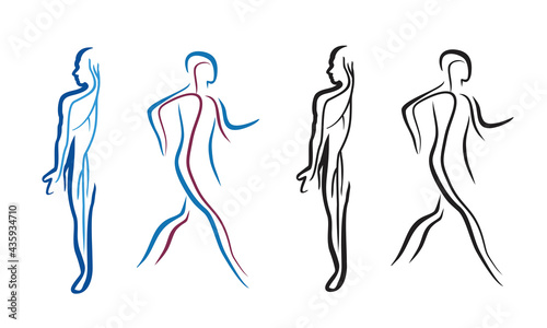 Cardiovascular health icons, human circulatory system stylized icons