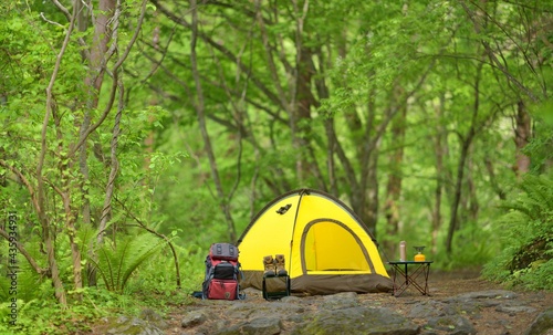 トレッキング・新緑の森のキャンプ 