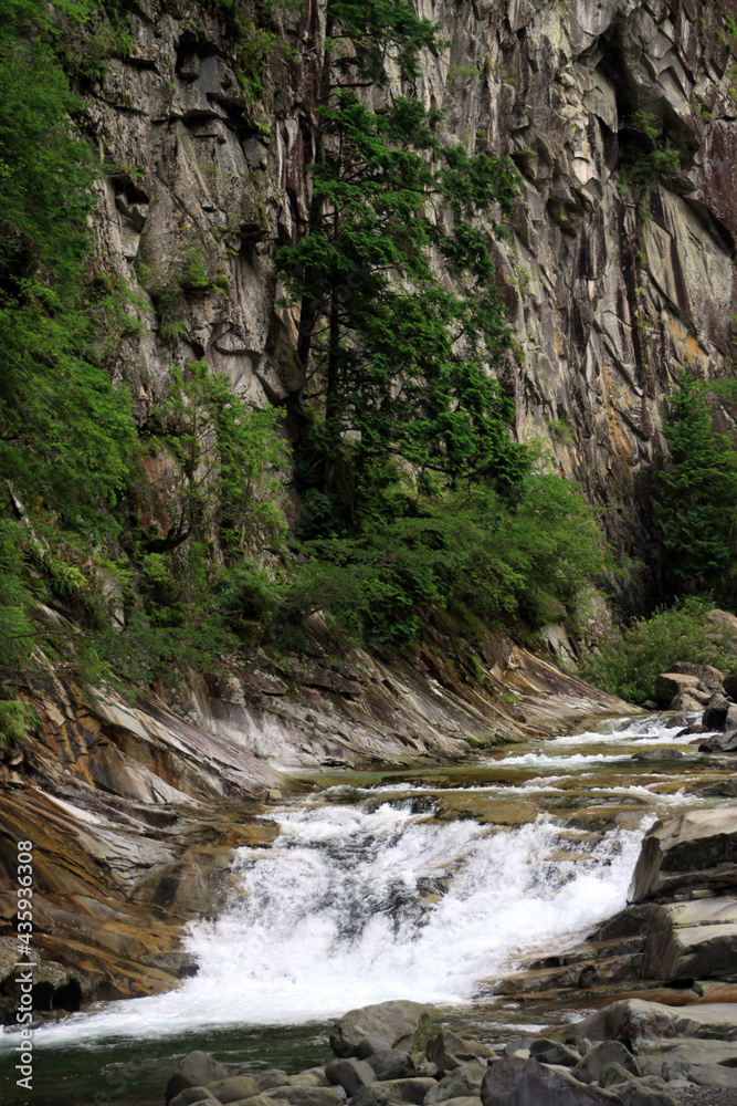 Obraz premium 面河渓