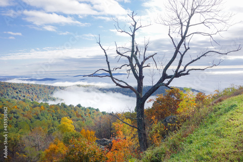 Autumn in Shenandoah National Park - Virginia, United States