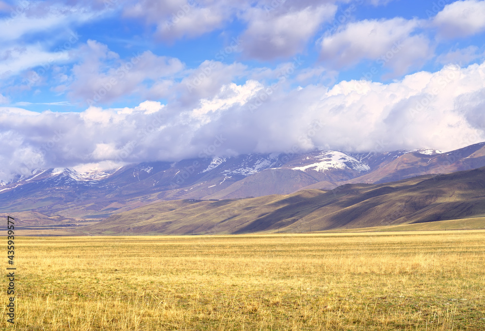 Kurai steppe in the Altai Mountains. Dry grass in the spring on the plain against the background of mountains under white clouds. Pure Nature of Siberia, Russia