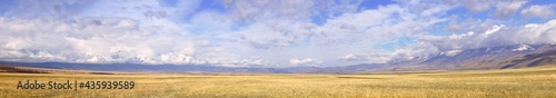 Kurai steppe in the Altai Mountains. Panorama of a wide spring plain surrounded by mountains under a cloudy sky. Pure Nature of Siberia  Russia
