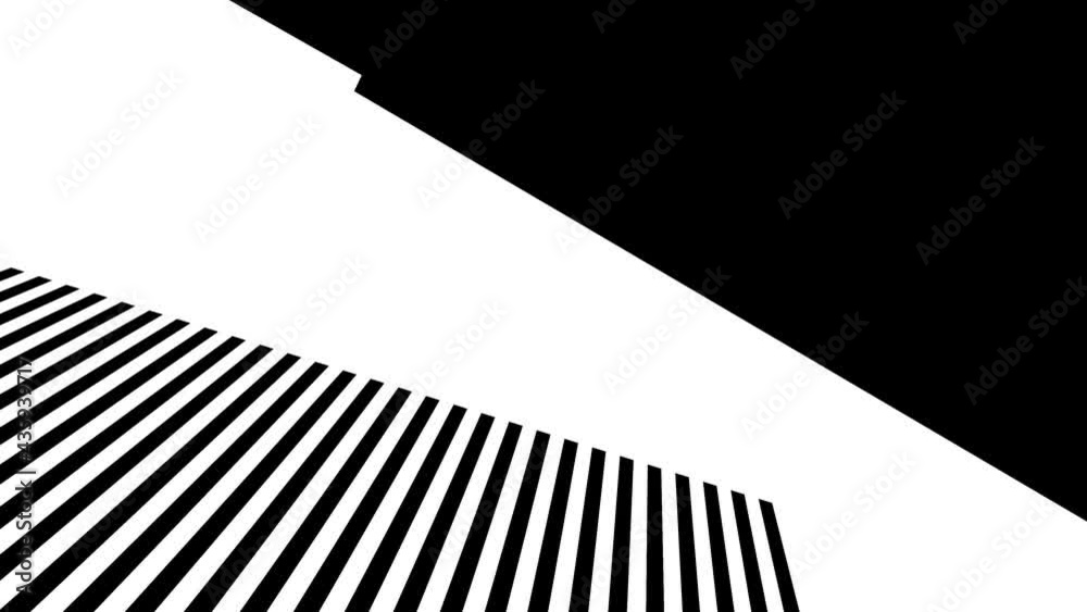 kaleidoscope of black and white stripes 