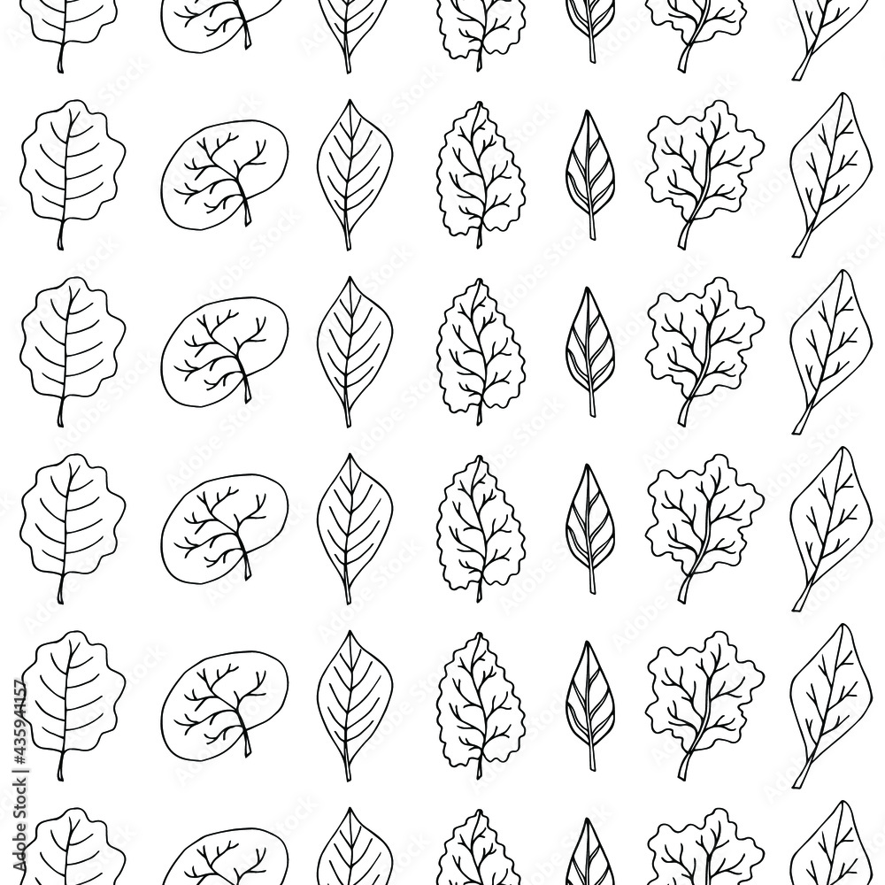 Seamless pattern of hand drawn elegant leaves isolated black on white background. Set of different trees and plants leaves: birch, aspen, oak, rowan, elm, dandelion, linden, poplar, alder, apple, plum