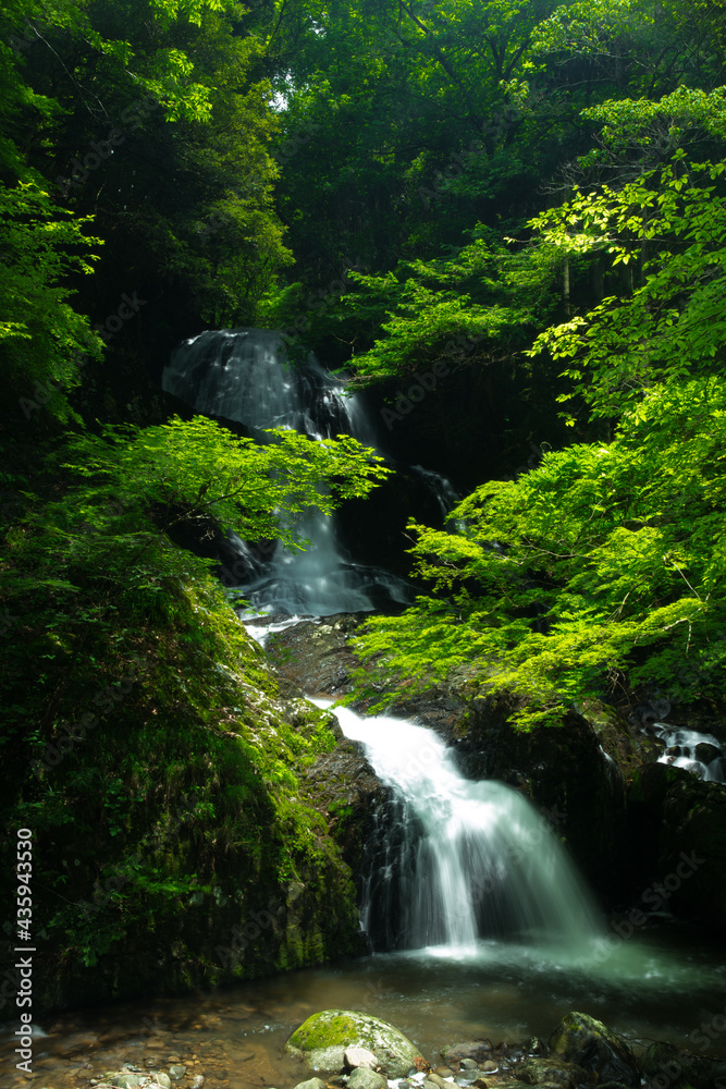 滝と新緑(愛媛県久万高原町遅越の滝) 滝と新緑(愛媛県久万高原町遅越の滝)