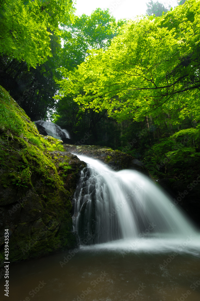 滝と新緑（愛媛県久万高原町遅越の滝）