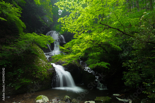 滝と新緑（愛媛県久万高原町遅越の滝） © Yoshinori Okada