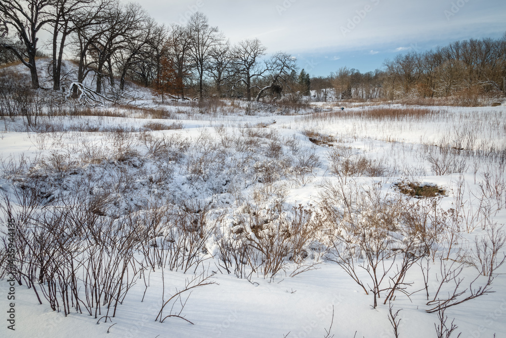 A rare fen environment fed by 50 degree spring water remains open during winter when the landscape is under a blanket of snow. A rare fen environment fed by 50 degree spring water remains open during winter when the landscape is under a blanket of snow.