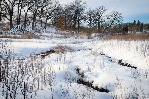 A rare fen environment fed by 50 degree spring water remains open during winter when the landscape is under a blanket of snow.