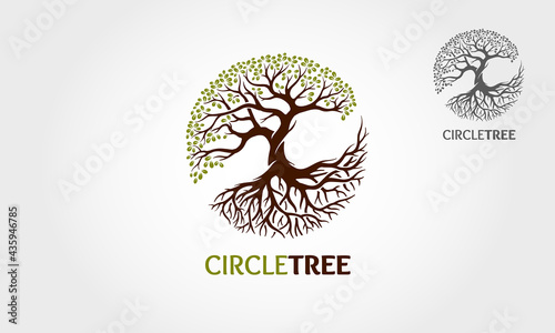 Circle Tree  Vector Logo Template. This logo depicts a tree whose roots and branches are connected to form a circle. This concept can be used for recycling, environmental associations, landscapes.