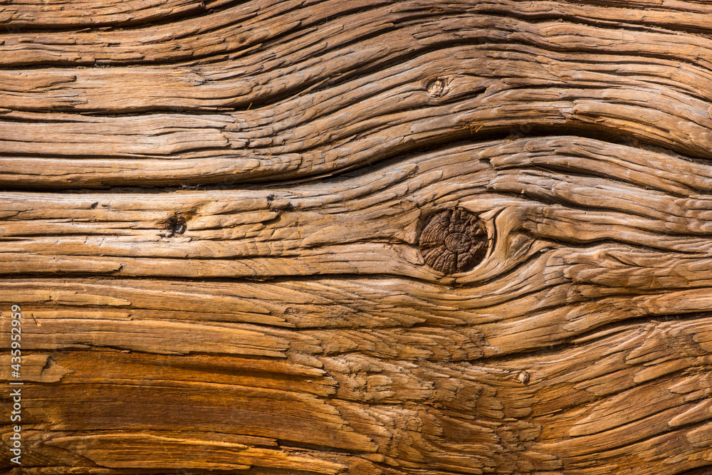 Texture of ancient cracked wooden log with a bough. Closeup natural background. Texture of ancient cracked wooden log with a bough. Closeup natural background.