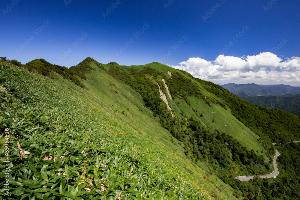 Obraz premium 伊予富士付近の登山道を望む爽やかな自然景観