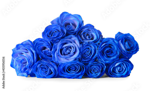 Fototapeta Naklejka Na Ścianę i Meble -  Beautiful blue roses on white background