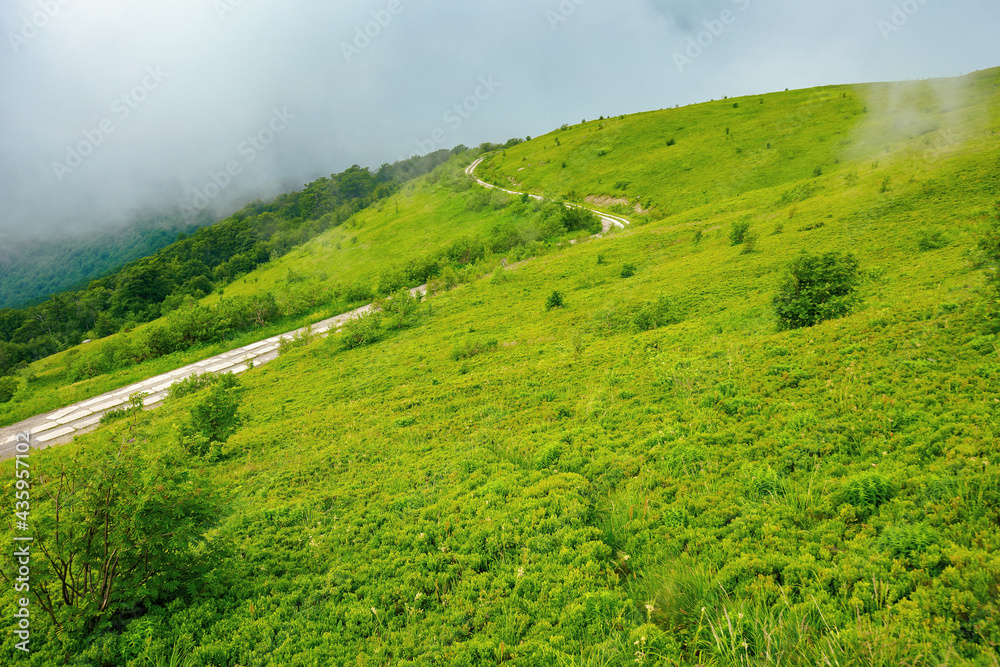road through mountain hills. beautiful summer landscape in the morning. clouds on the sky road through mountain hills. beautiful summer landscape in the morning. clouds on the sky