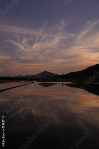 田園風景