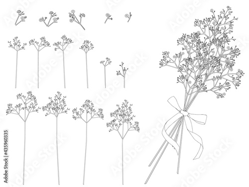 かすみ草の線画セット