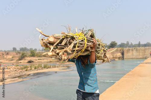 Photography A young man carrying firewood in his shoulder