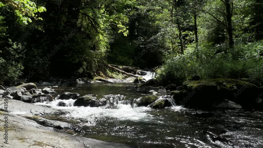 A beautiful small waterfall in the dense forest with rock landing. Water rushes through rocks and boulders. With audio. A beautiful small waterfall in the dense forest with rock landing. Water rushes through rocks and boulders. With audio.