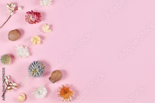 Various dried flowers and plant parts on pink background with blank copy space