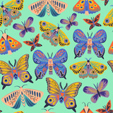 Cute seamless pattern with butterflies and moths. Doodle insect in minimalistic style. Hand drawn illustration. 