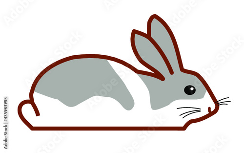 lapin